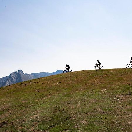 Apartamentos Los Picos De Europa Colio Экстерьер фото