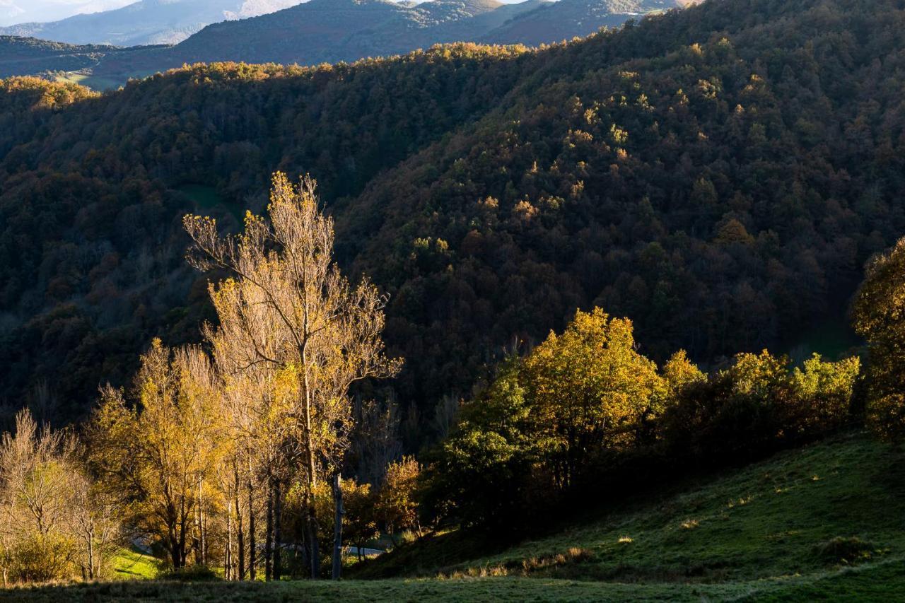 Apartamentos Los Picos De Europa Colio Экстерьер фото